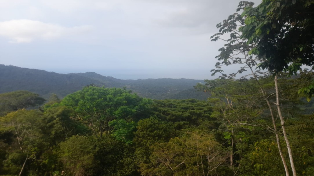 Vía Parque Tayrona, Santa Marta, Magdalena, Colombia 3